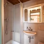 Apartamento Dobner Schloessl *
